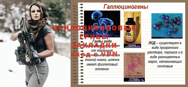 прущая мука Ельня