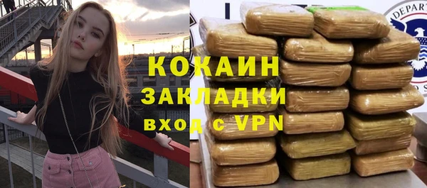 хмурый Алзамай