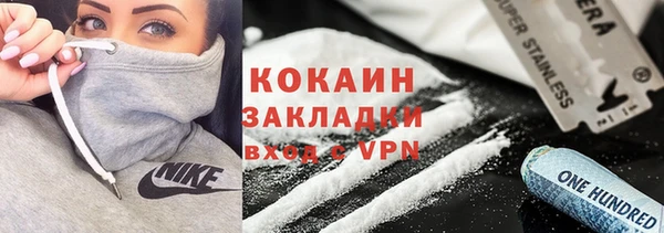 хмурый Алзамай