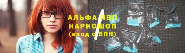 гидра Алексеевка